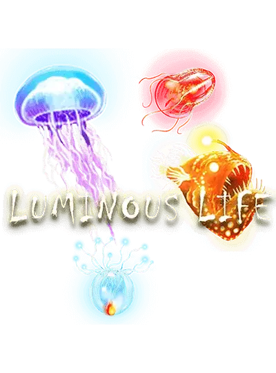 ঝলমলে জীবন